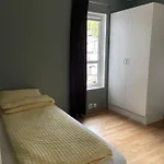 Panorama * Lii