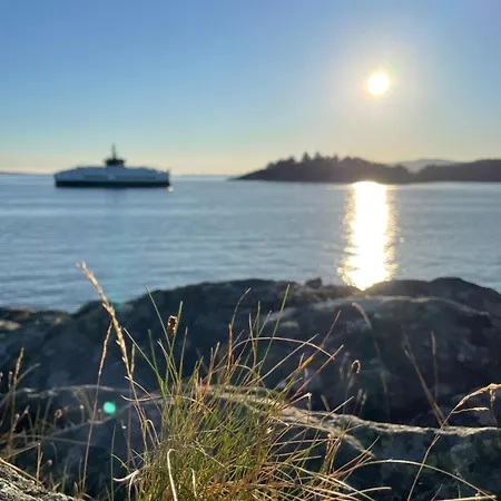 Apartment Panorama Lii